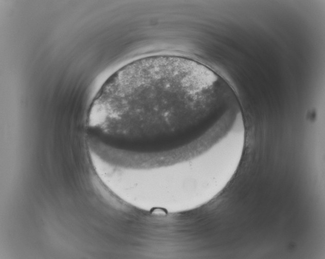 X0000111521532200908251124