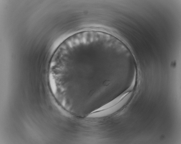 X0000111521533200908251124