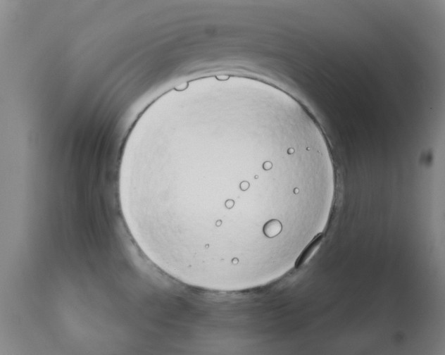 X0000111521534200908251125