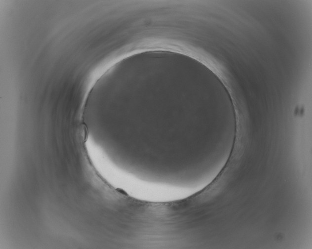 X0000111521536200908251125