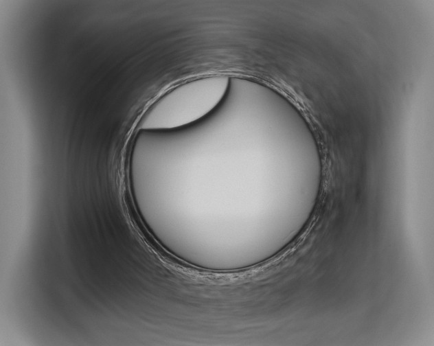 X0000111530002200907141306