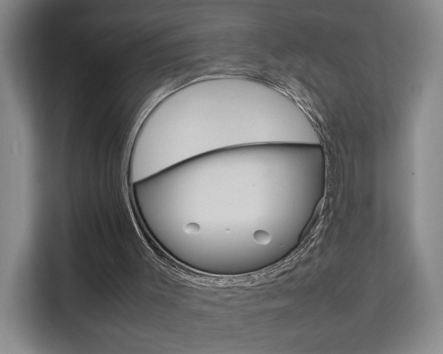 X0000111530003200907141306