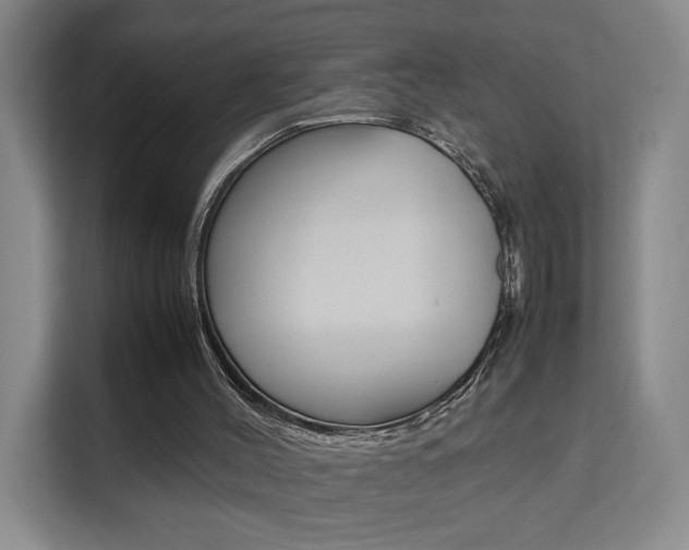 X0000111530004200907141306