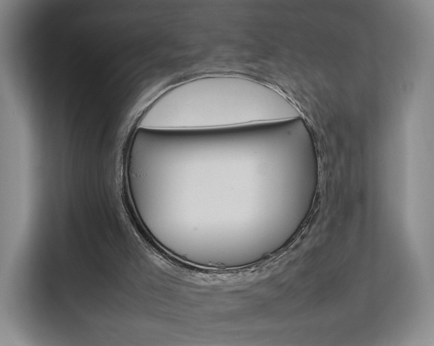 X0000111530005200907141306