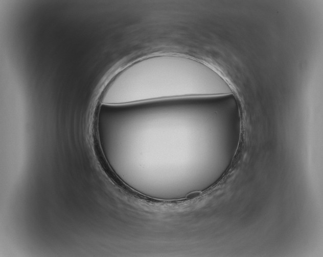 X0000111530007200907141306