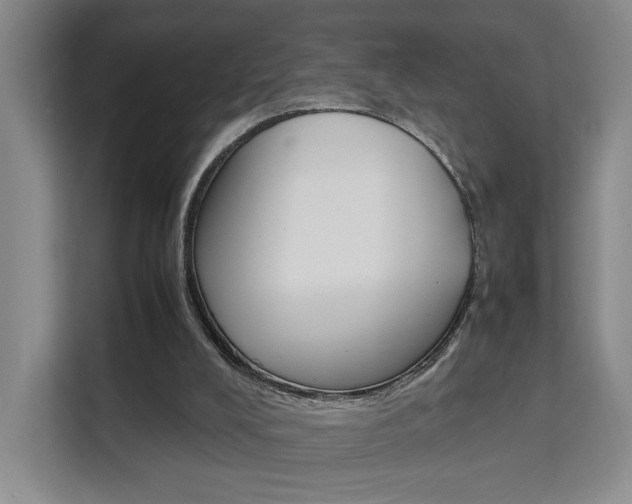 X0000111530008200907141306