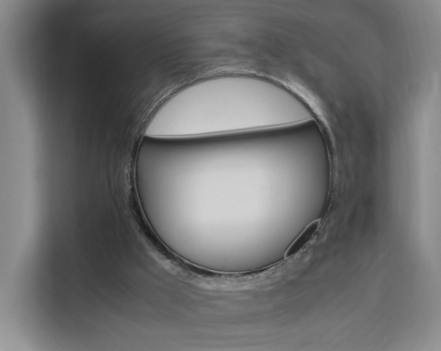 X0000111530009200907141306