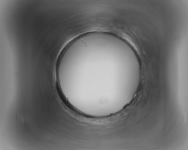 X0000111530011200907141306