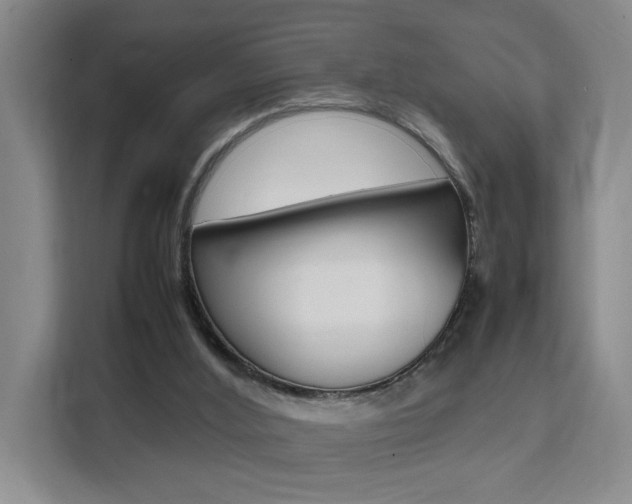 X0000111530012200907141306