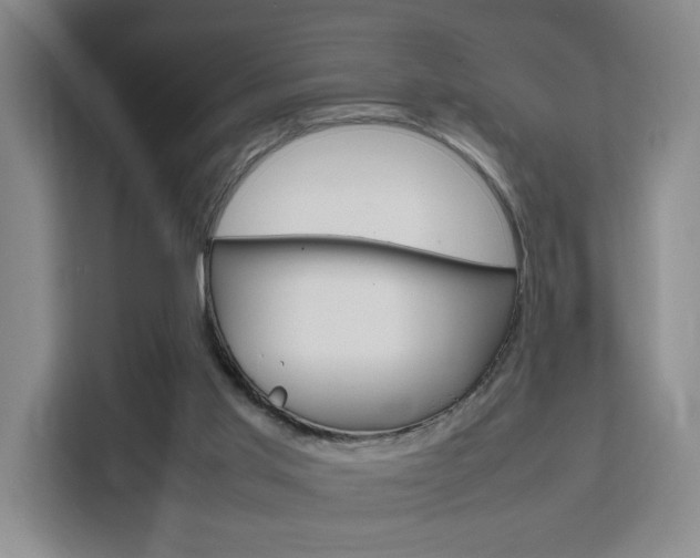 X0000111530013200907141306