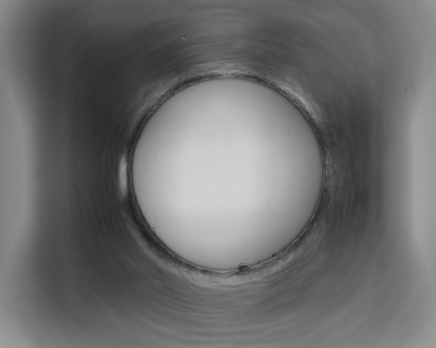 X0000111530014200907141306