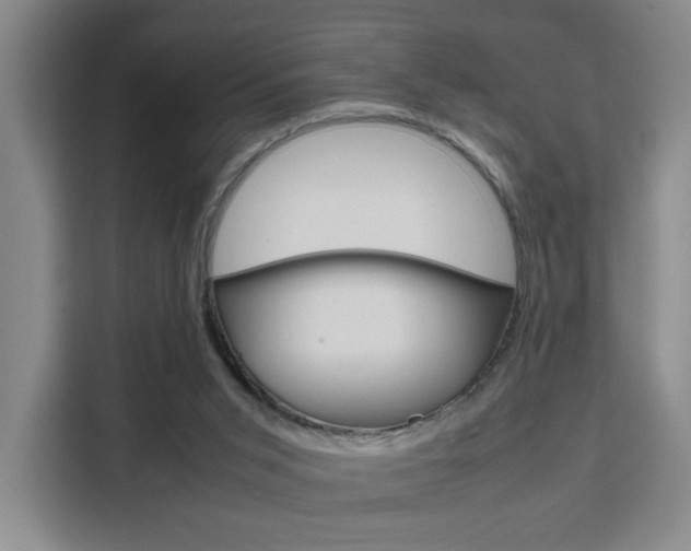 X0000111530015200907141306