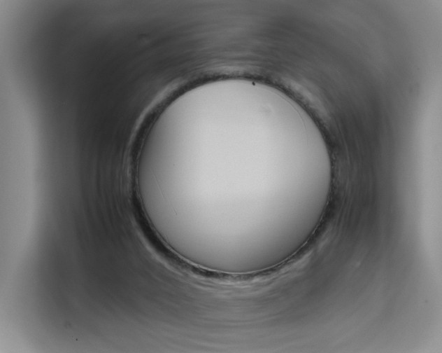 X0000111530016200907141306