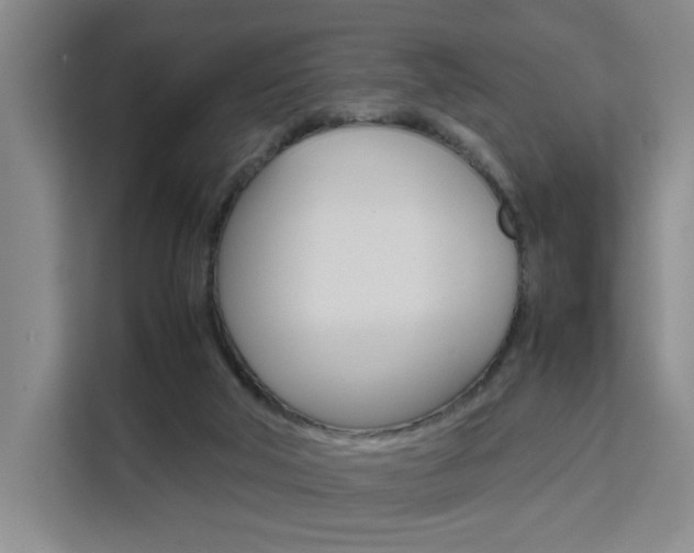 X0000111530018200907141306