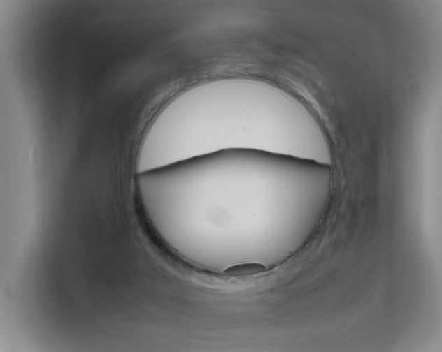 X0000111530019200907141306