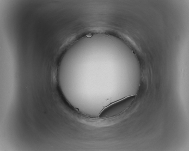 X0000111530023200907141306