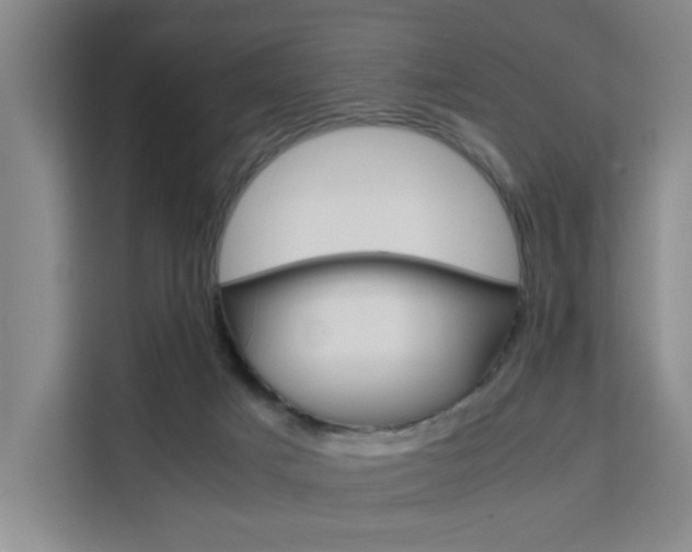 X0000111530025200907141305