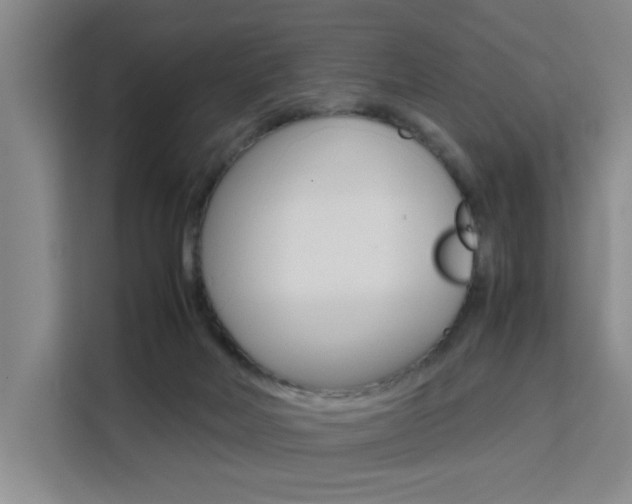 X0000111530026200907141305