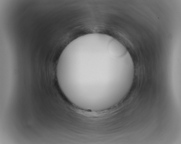 X0000111530030200907141305