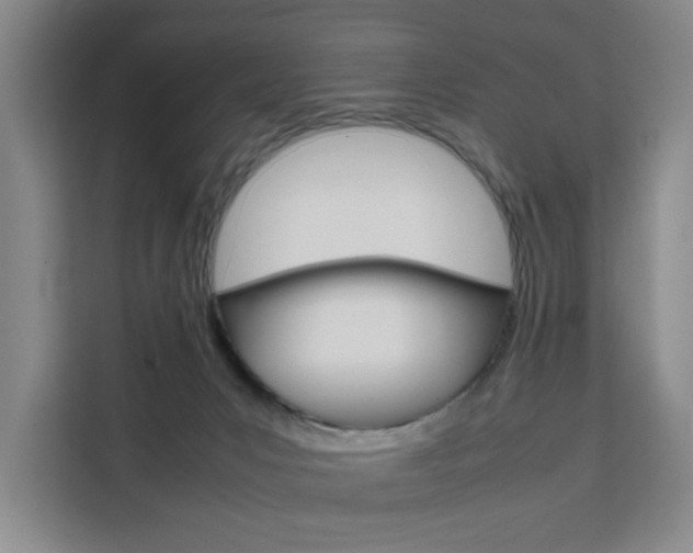 X0000111530031200907141305