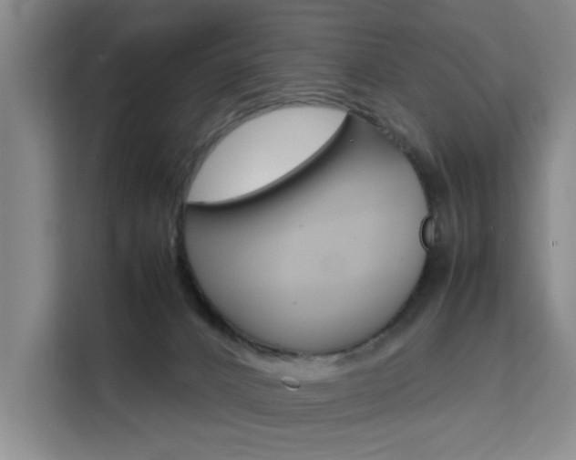 X0000111530032200907141305