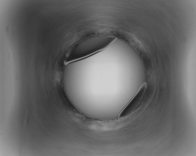 X0000111530033200907141305