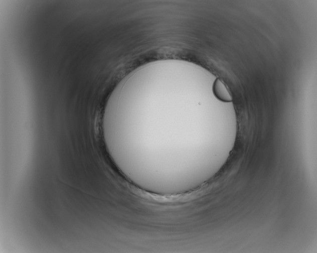 X0000111530038200907141305