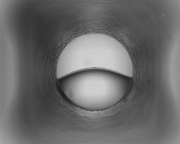 X0000111530039200907141305