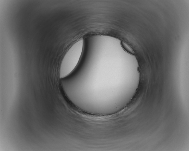 X0000111530040200907141305