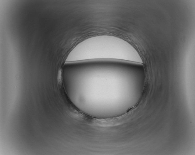 X0000111530041200907141305