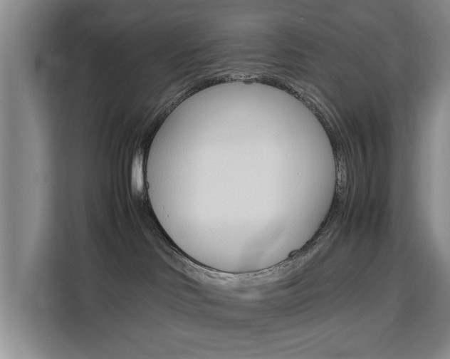 X0000111530046200907141305