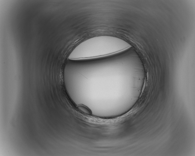 X0000111530048200907141305