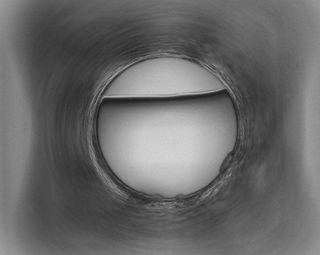 X0000111530049200907141305