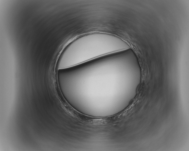 X0000111530050200907141305