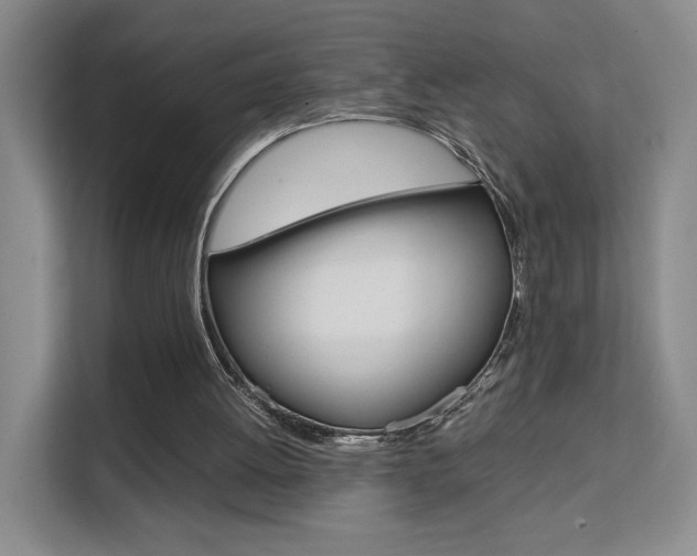 X0000111530052200907141305