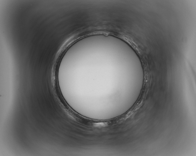 X0000111530053200907141305