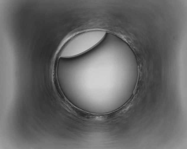 X0000111530056200907141305