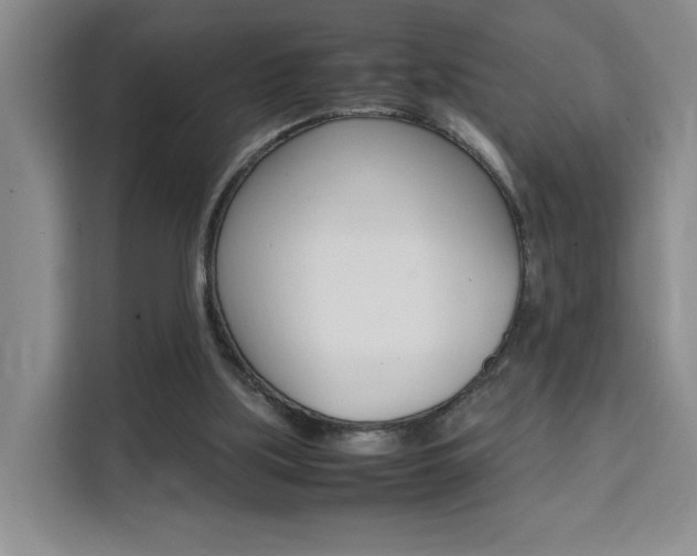 X0000111530059200907141305