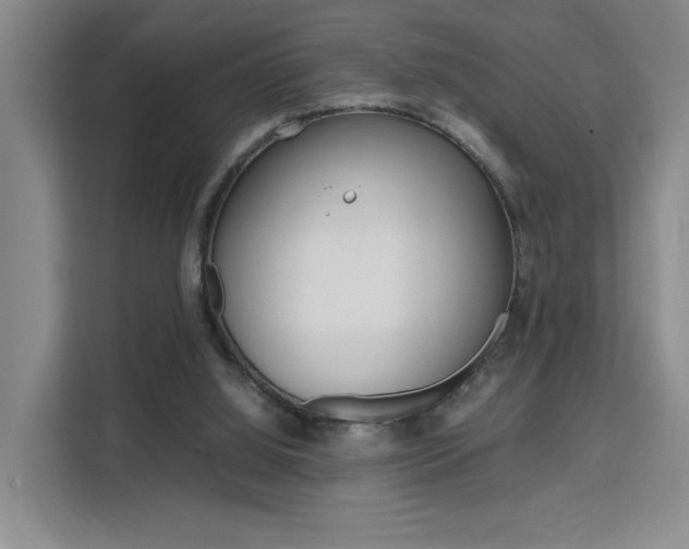 X0000111530060200907141305