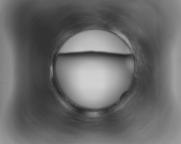 X0000111530061200907141305