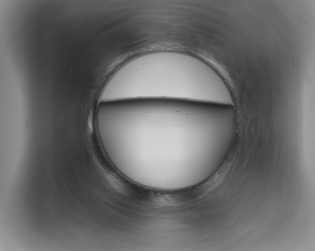 X0000111530062200907141305