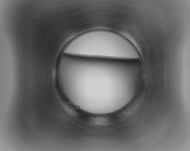 X0000111530063200907141305