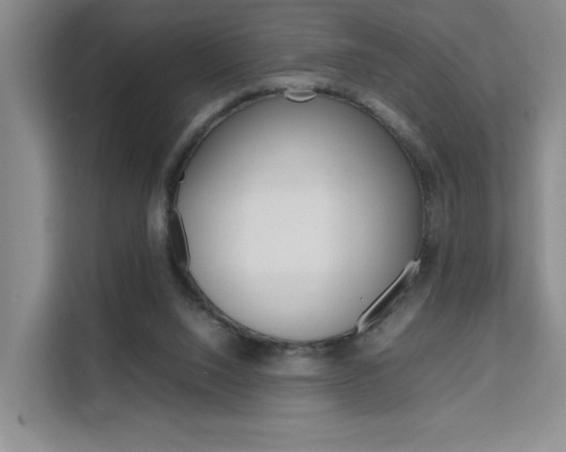 X0000111530064200907141305