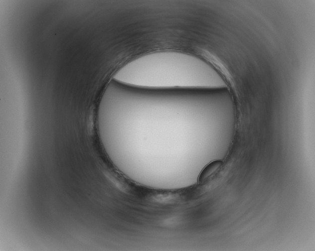 X0000111530065200907141305