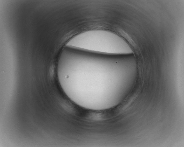 X0000111530071200907141305