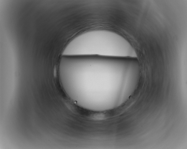 X0000111530075200907141305