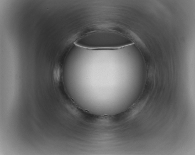 X0000111530076200907141305