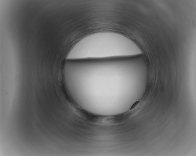 X0000111530078200907141305