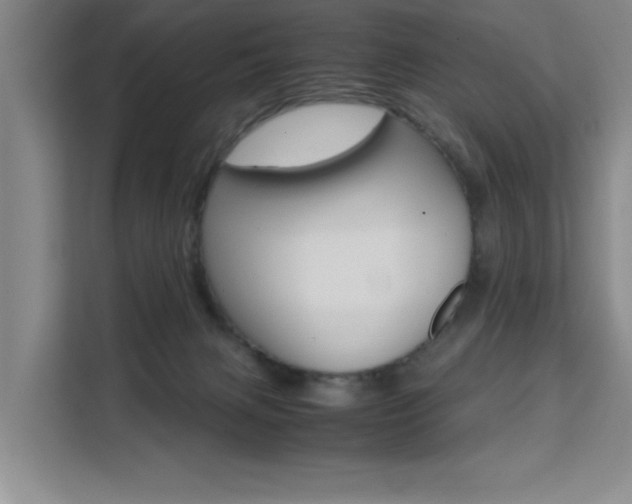 X0000111530079200907141305