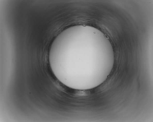 X0000111530083200907141305